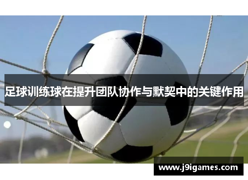 足球训练球在提升团队协作与默契中的关键作用